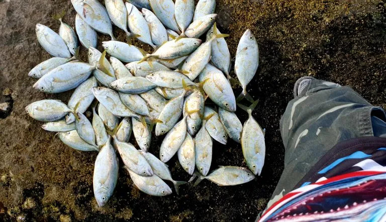 Japan Sardine Hairclip 5cm Trolling lure – the original 3pcs per pack