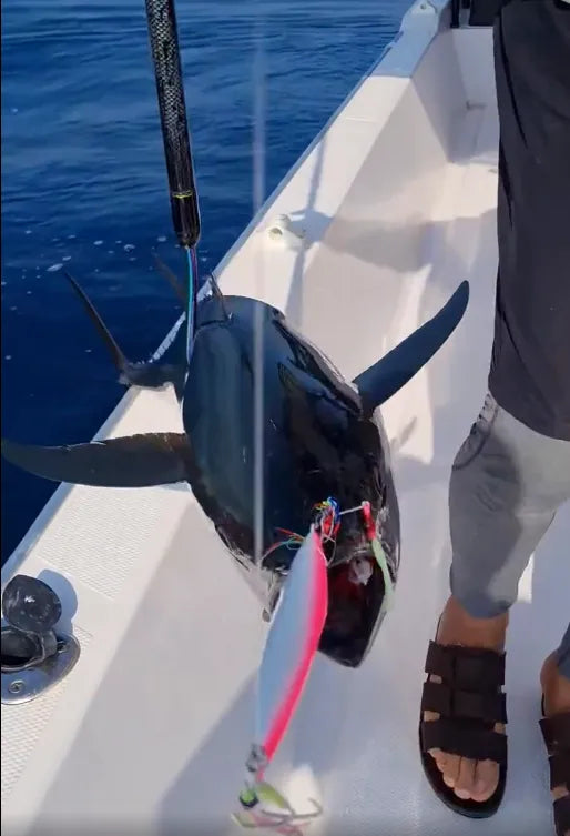 RAPTORZ BIG GAME Dual Assist Hook – PAIR