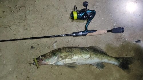 Tacklebox’s Travel Telescopic Ultralight SET COMBO