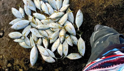 TORPEDO SET FISHING WITH HAIRCLIPS ARTIFICIAL LURE