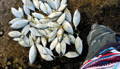 Japan Sardine Hairclip 5cm Trolling lure – the original 3pcs per pack